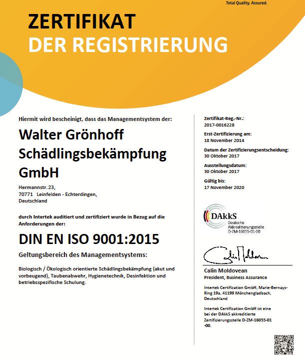 DIN EN ISO 9001:2015 Geltungsbereich des Managementsystems